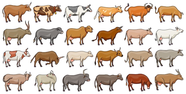 Cow of animal vector color set iconisolated color icon farm animal of cowvector illustration cattle for farm on white background