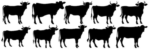 Cow bull farm animals silhouettes set large pack of vector silhouette design isolated background