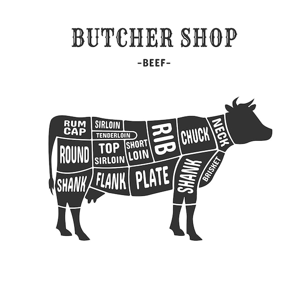 Vector cow cuts scheme cutting beef meat guide placard for butchers animal cut diagram chart plate brisket vintage american poster butcher shop steak or rib exact vector illustration