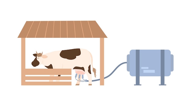 Cow on dairy farm during milking cartoon vector illustration isolated