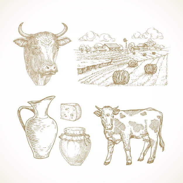 Cow farm products and objects cattle milk cottage cheese and rustic landscape hand drawn vector illustrations set domestic animals sketch bundle doodle style drawings collection isolated