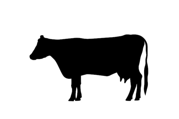 Vector cow icon simple black silhouette cattle