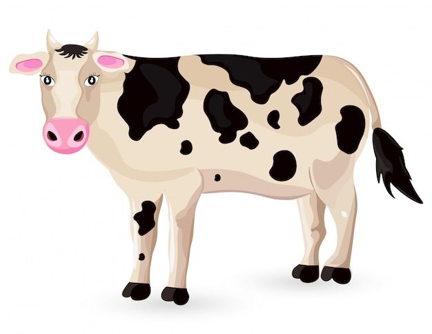 Vector cow isolated on white