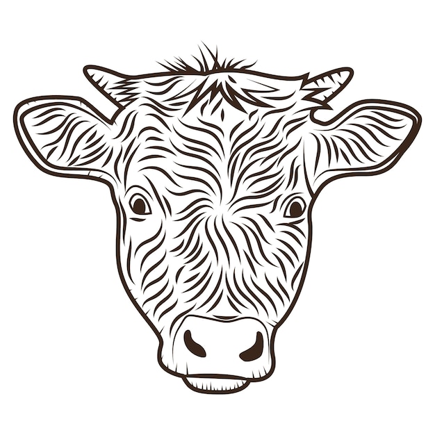 A cow's face is shown in a sketch style.