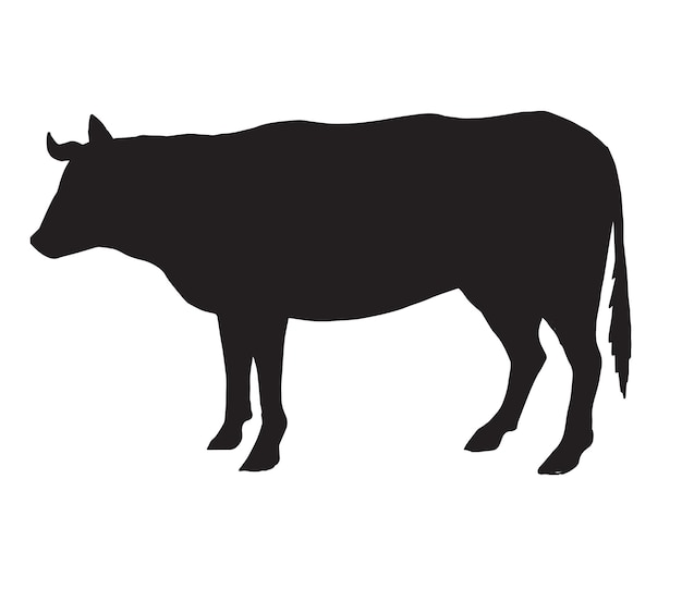 Cow silhouette isolated on white background