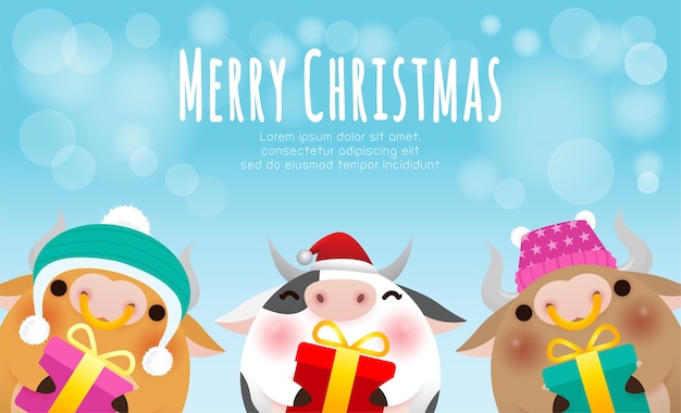 Cow wearing christmas hats and gift