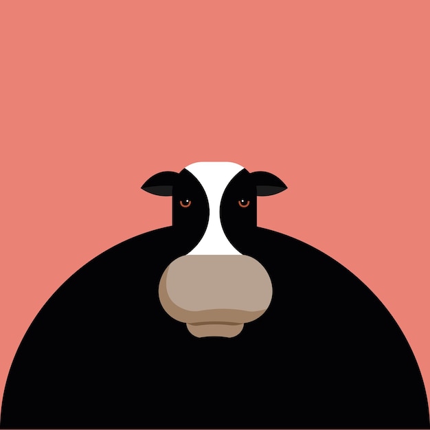 A cow with a black face and a white patch on its face.