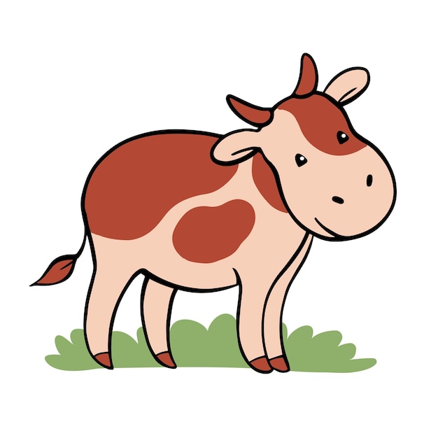 Cow with udder on white background