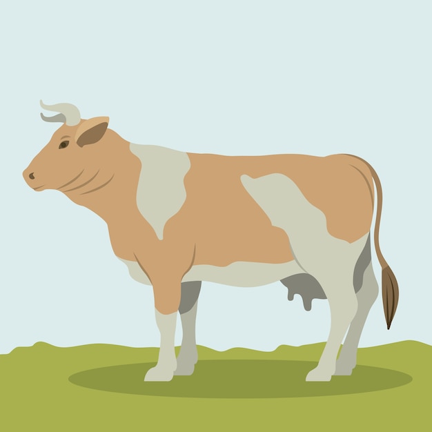 Cow 