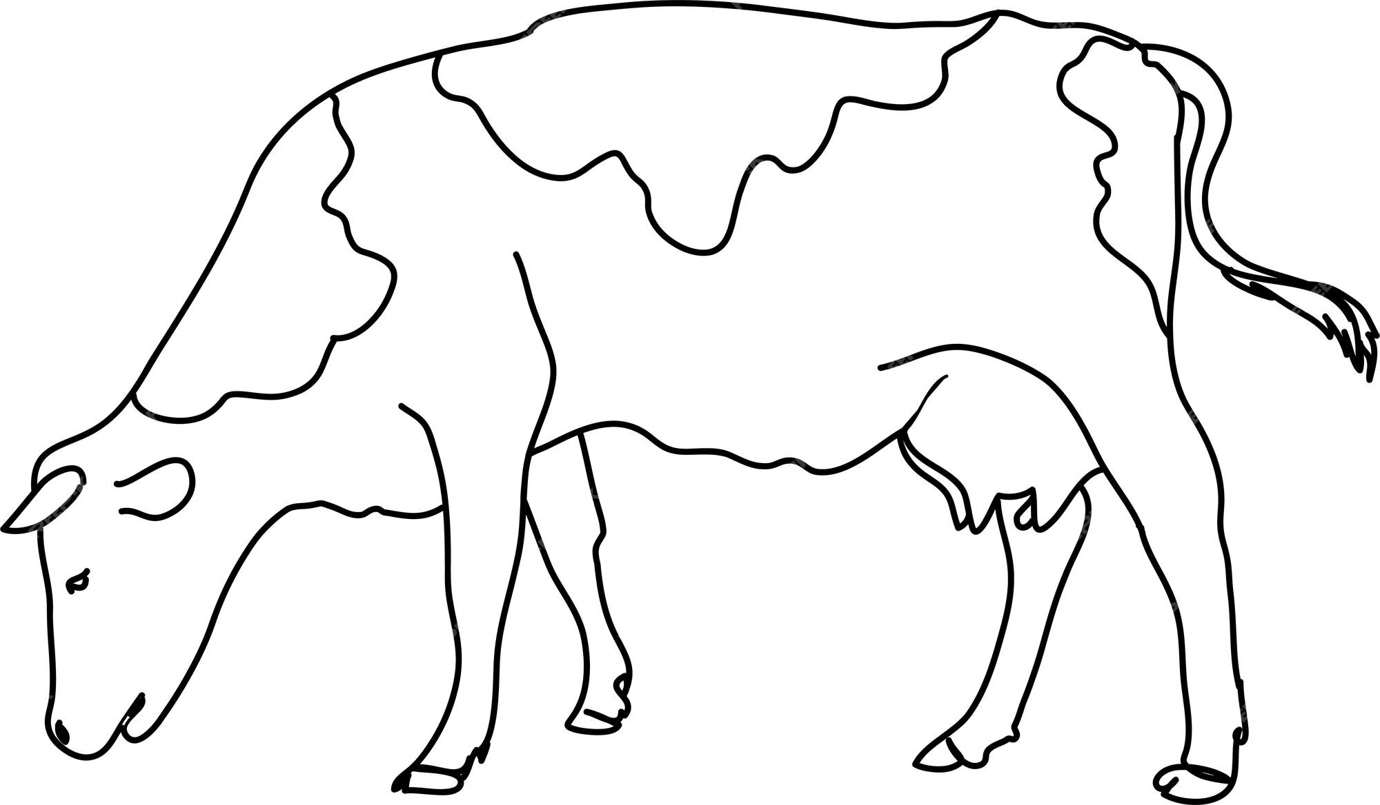 Premium Vector | Cow