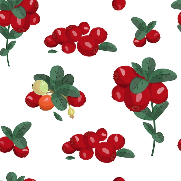 Cowberry and leaves vector pattern.