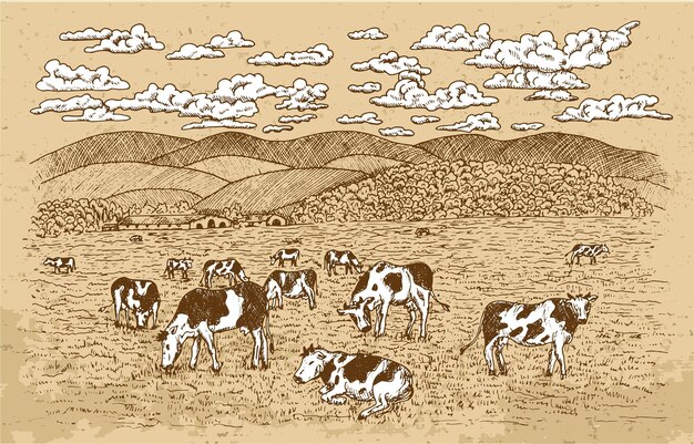 Vector cows feeding on the grassland with texture background and wite clouds