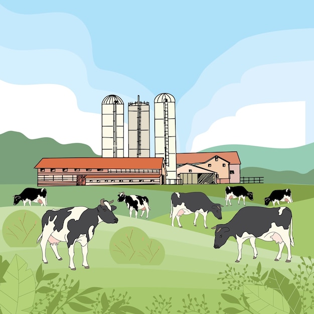 Cows graze in a meadow