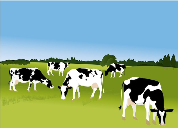 cows vector
