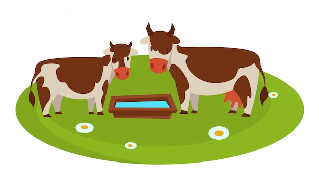 Vector cows with wooden trough full of water on field