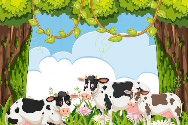 Cows in woods scene