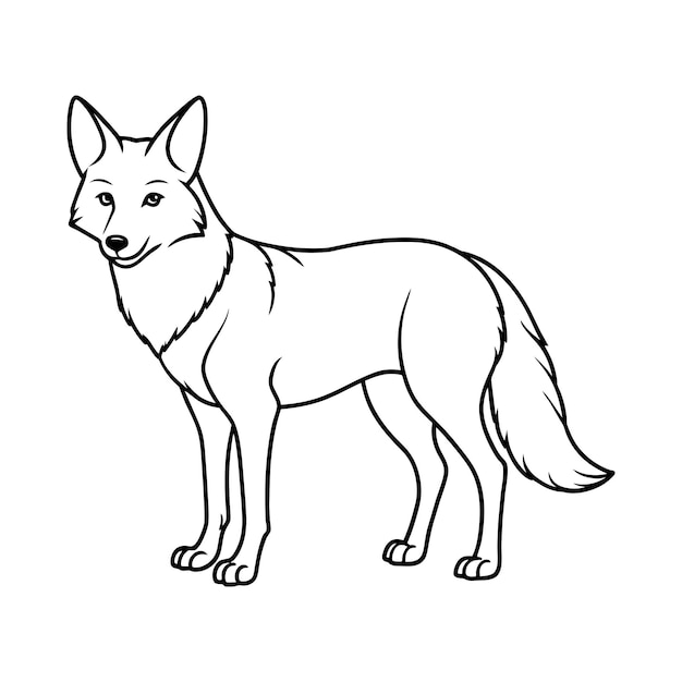 Vector coyote illustration coloring page for kids