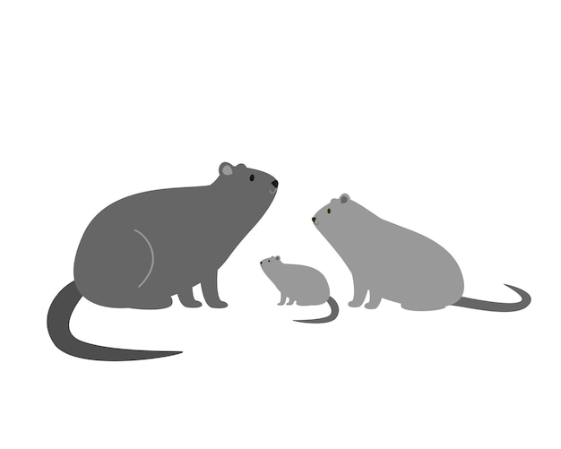 Coypu family mom dad and baby. vector illustration for prints, packaging, stickers