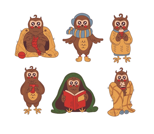 Cozy owl character in winter and autumn set