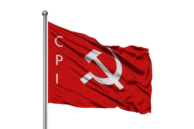 Vector cpi-vlag