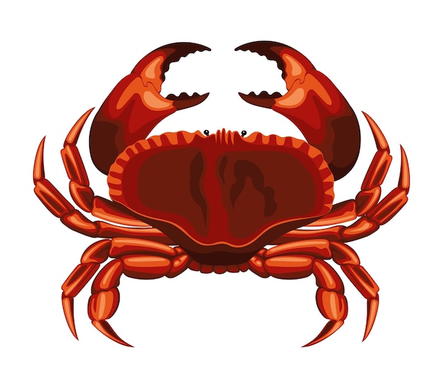 Premium Vector | Crab Animal Sea Food Crabs Seafood Crustacean Crabmeat