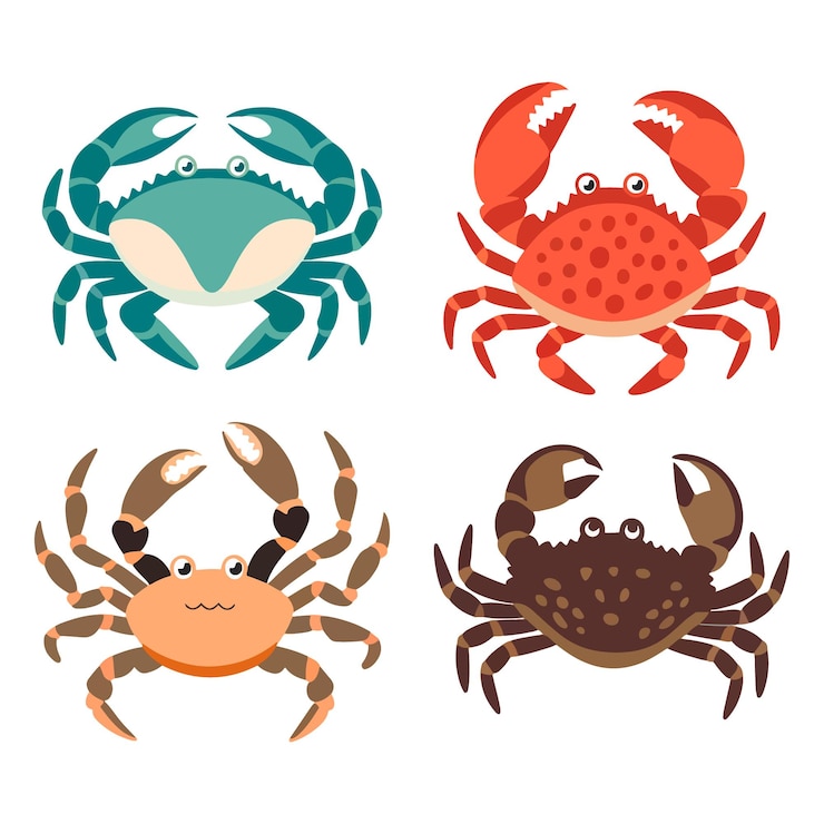 Vector 크래브 들 다양한 크래브 종 컬렉션