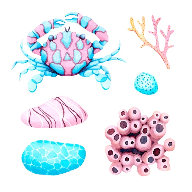 Crab corals and pebbles Hand drawn watercolor vector set