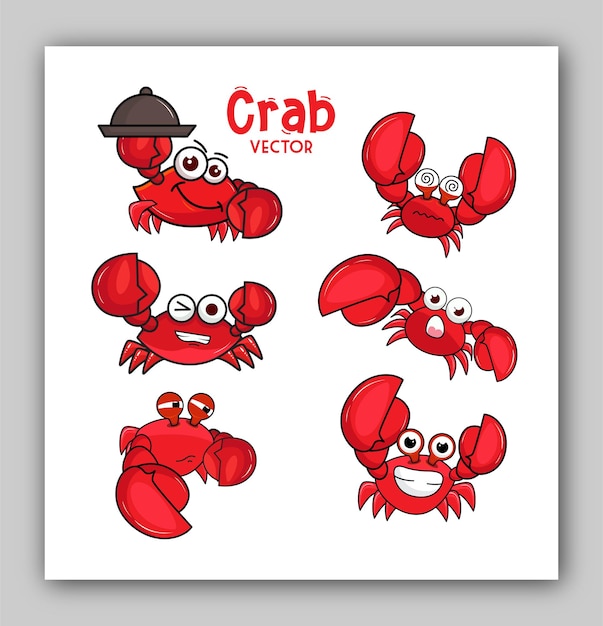 Vector crab creations illustrations wonders of the sea