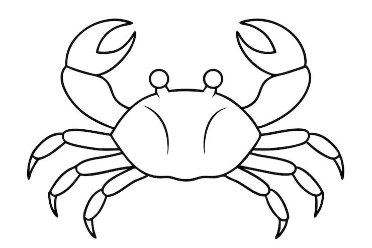 Vector 색 배경 에 있는 간단 한 스타일 의 크래브