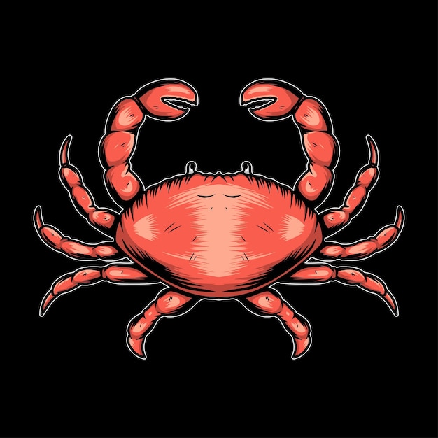 crab hand drawn illustration