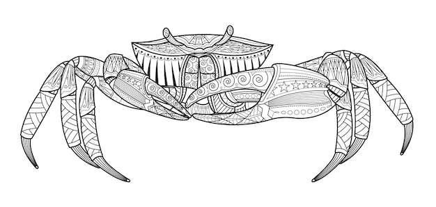 Animale di mare disegnato a mano di granchio