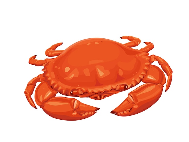 Crab isolated on white background Vector eps 10 crab vector on sand color background