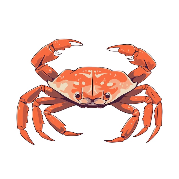 Crab logo design abstract drawing crab cute crab isolated vector illustration