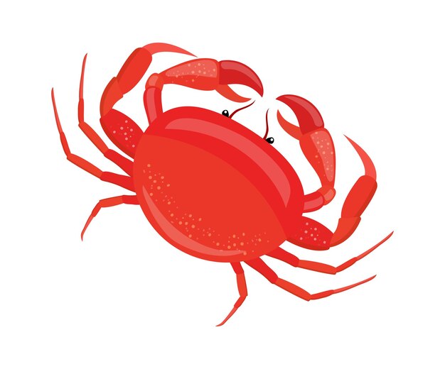 Crab Seafood icon Vector illustration