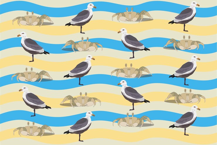 Vector crab in seagull on the beach summer texture