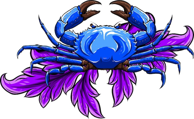 A Crab vector illustration on white background digital hand draw