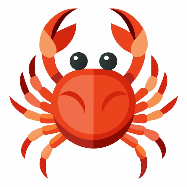 Crab vector illustration