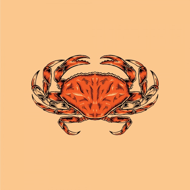 Crab vintage handdrawn illustration