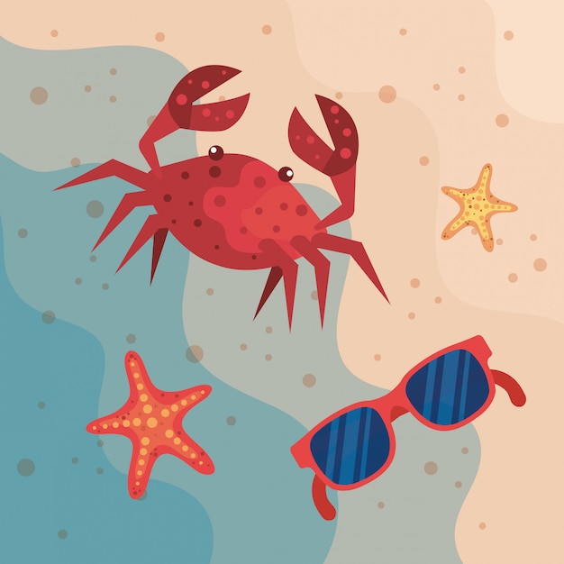 Crab with sunglasses and starfishes in the beach sand