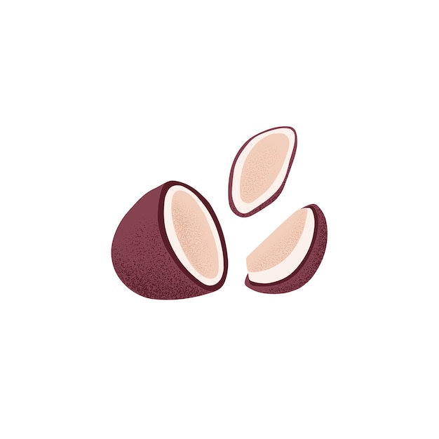 Половинка треснутого кокоса и ломтики Разрезанные плоды кокосового ореха в коричневой скорлупе Свежие тропические экзотические продукты в ореховой скорлупе Плоская графическая векторная иллюстрация на белом фоне