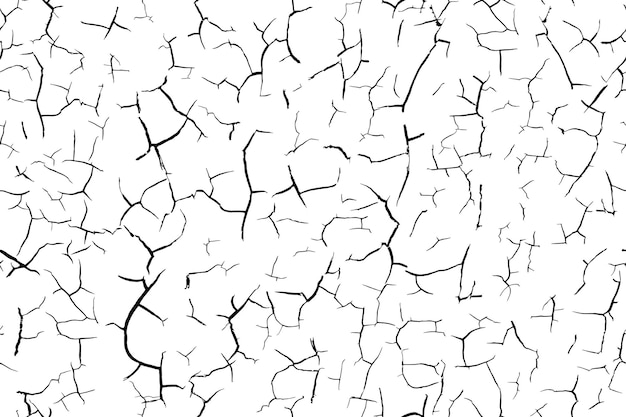 Vector cracked dry soil black and white seamless texture