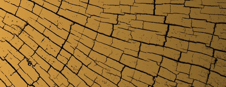 Vector cracked earth background background vector