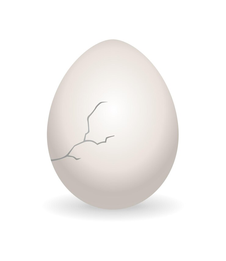 Vector cracked egg eggshell cracking stage realistic chicken egg with broken eggshell design element of fragile broken egg