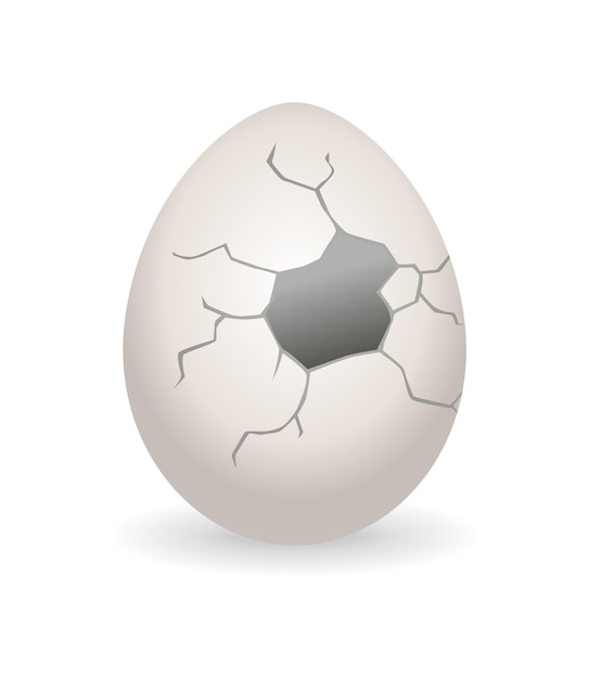 Vector cracked egg eggshell cracking stage realistic chicken egg with broken eggshell design element of fragile broken egg