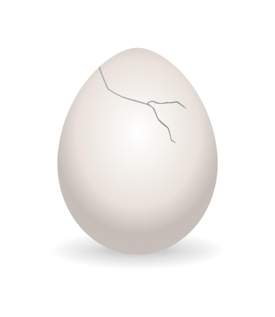 Cracked egg Eggshell cracking stage Realistic chicken egg with broken eggshell Design element of fragile broken egg