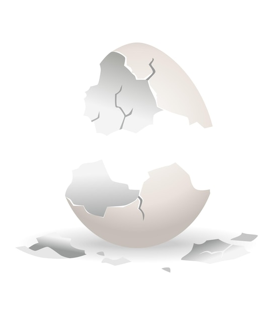 ベクトル ひびの入った卵。卵殻クラッキング段階。卵殻が壊れたリアルな鶏卵。壊れやすい壊れた卵のデザイン要素。