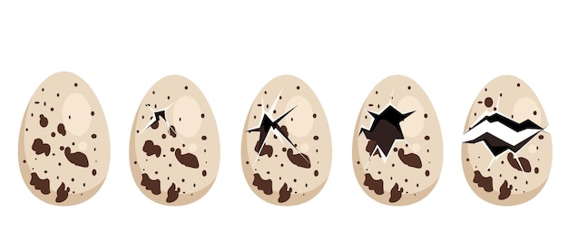 Cracked quail egg hatching steps whole and broken abstract concept set graphic design