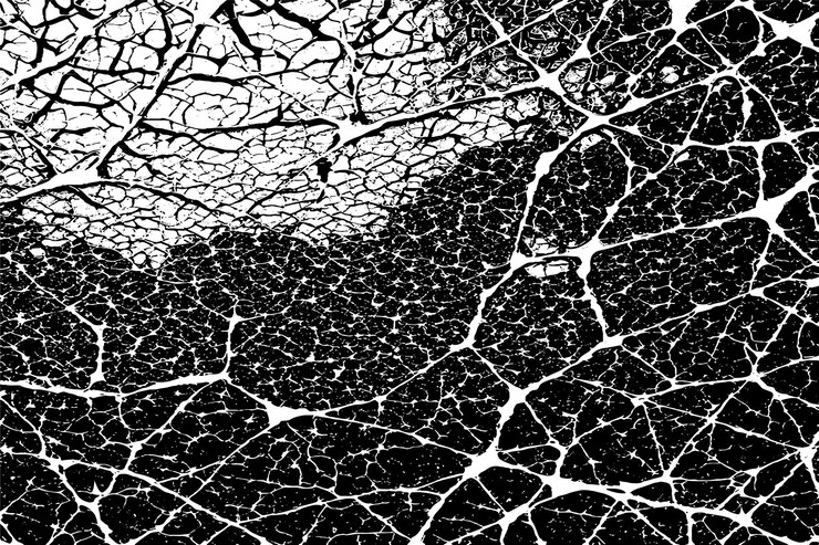 Vector cracked surface grunge texture distressed and uneven overlay vector illustration black on white