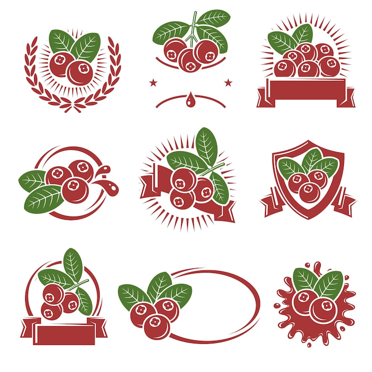 Vector cranberry label and icons set icon cranberry vector