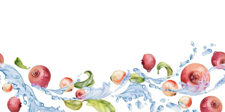 Vector 크랜베리 링곤베리 (cranberry lingonberry) 는 물 속으로 날아다니며, 초록색 잎과 이슬방울이 손으로 그려져 있습니다.